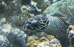 05761fed-f262-42b4-882c-02be754c9d0e