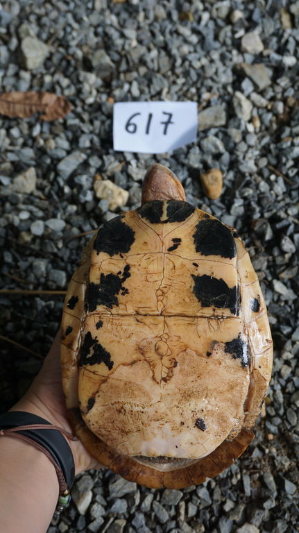 05afde1a-d338-45d6-96e5-3f9b413bef80