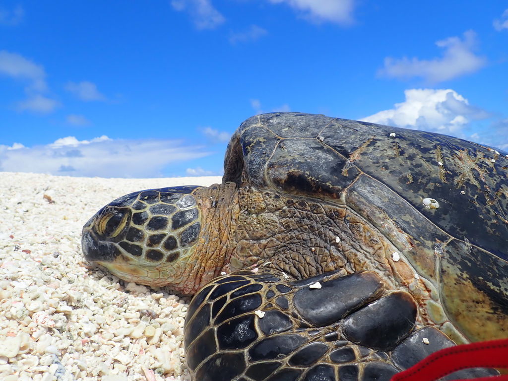 9a011427-7624-4e82-85cd-dd7080bcbc39