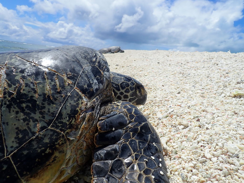 9a011427-7624-4e82-85cd-dd7080bcbc39