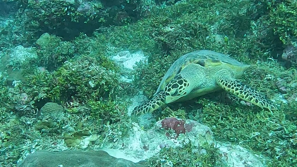 2a0b88d6-4092-4cef-b569-dbb4c47bb336