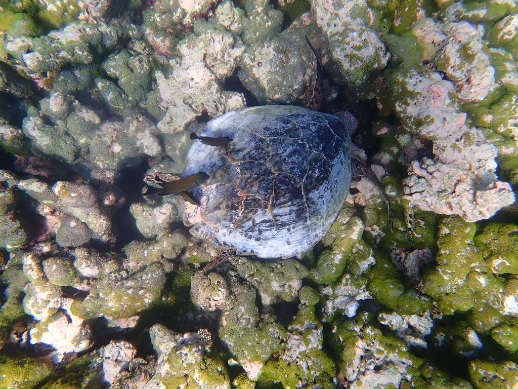 4044146b-cf4a-4cb5-b1c5-e2f95830c40d