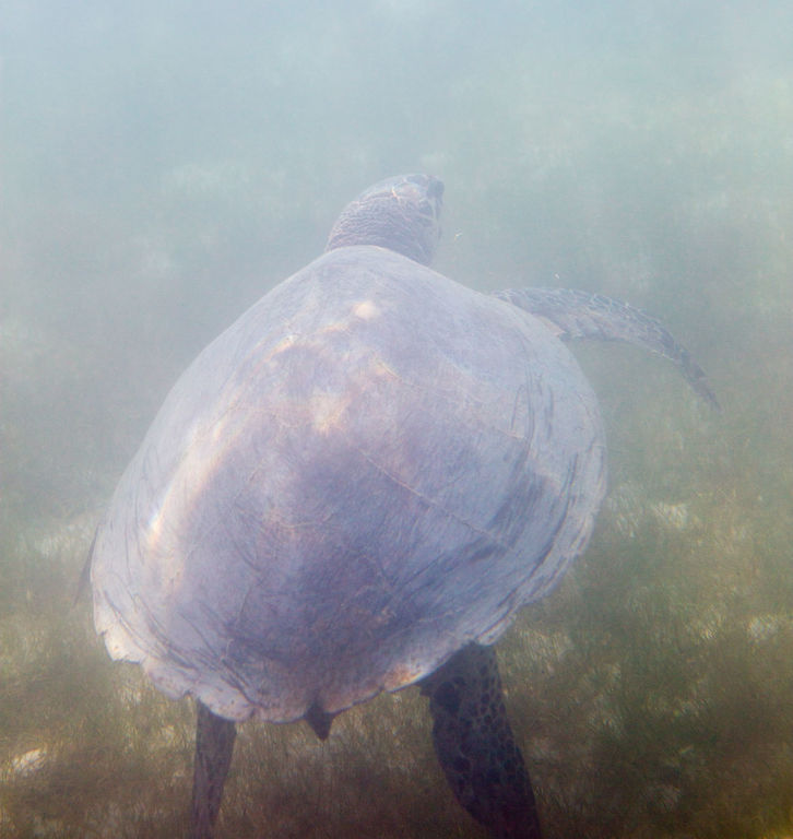 81774604-48f7-4b85-b8fd-a5a84530f3a2