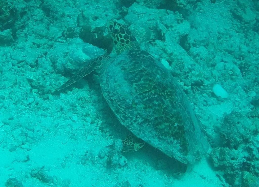 7d1a3be9-3338-45ec-8fe1-454888dd0af7