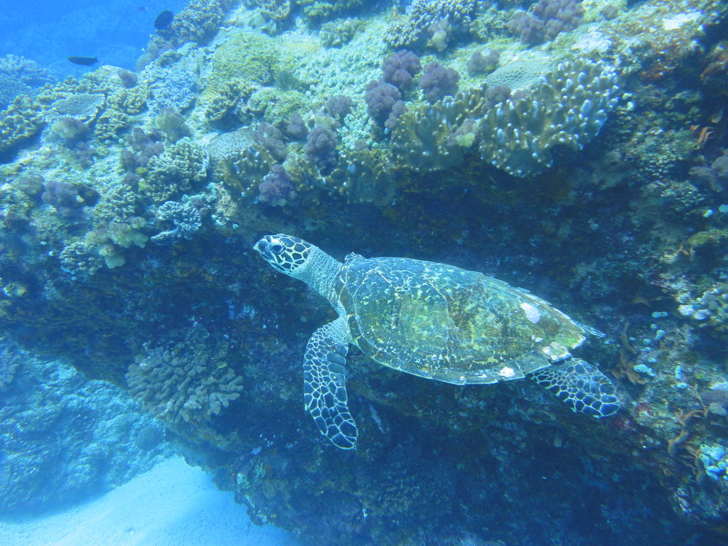 56880d51-d1c4-4649-afa9-25dd60cad866