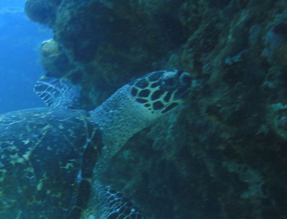 56880d51-d1c4-4649-afa9-25dd60cad866