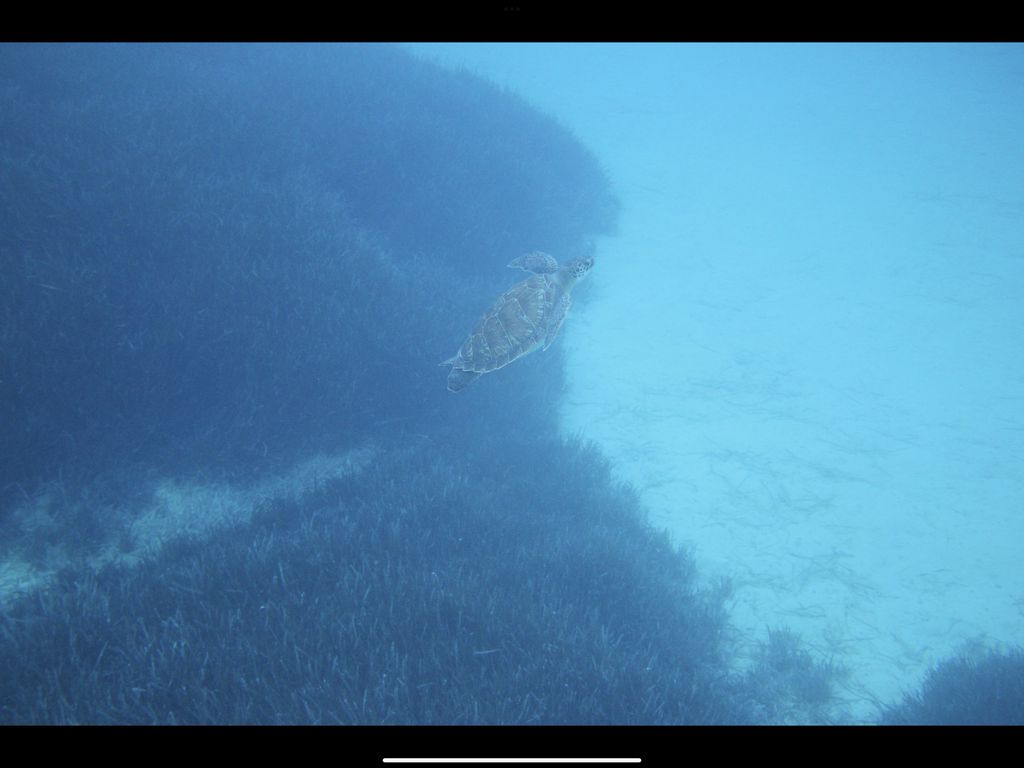 bcb314cf-4a45-445e-8d8a-1284313c1e3d