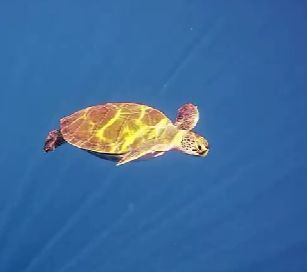 7f398322-f838-436e-a893-fecd6ebb0b7e