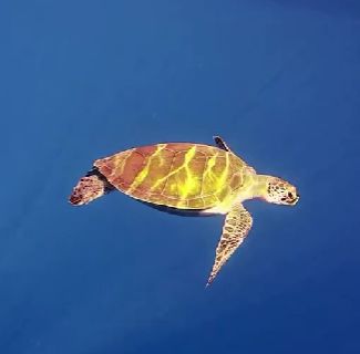 7f398322-f838-436e-a893-fecd6ebb0b7e