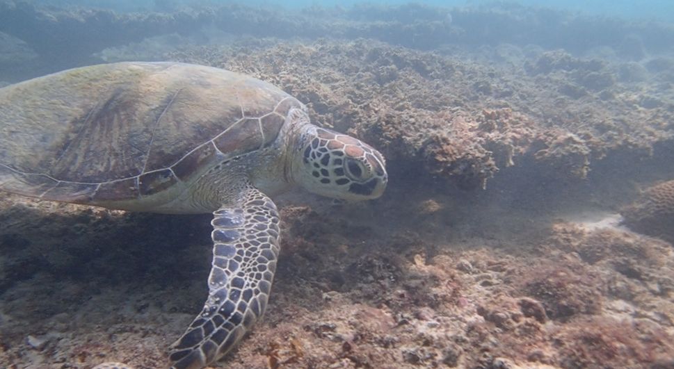 5bbc6b9f-a09a-4c5d-ab32-53a7fcca932a