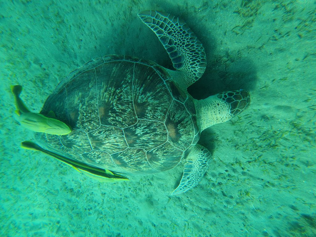 fac409f4-4b5c-41b6-bfe2-3fb84713fcc1