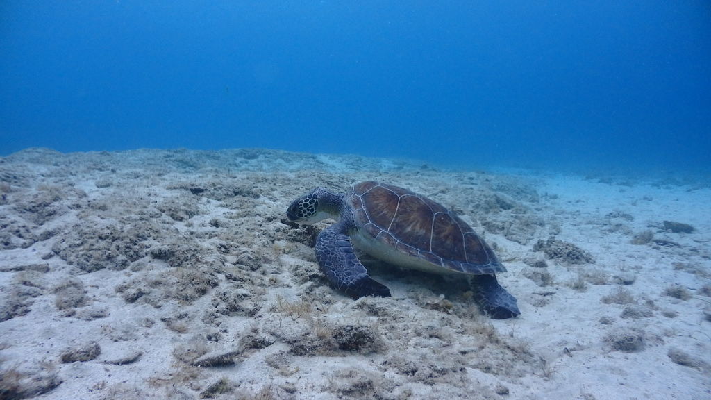 d411d9d7-8010-4bcc-a5f0-3979059439a9