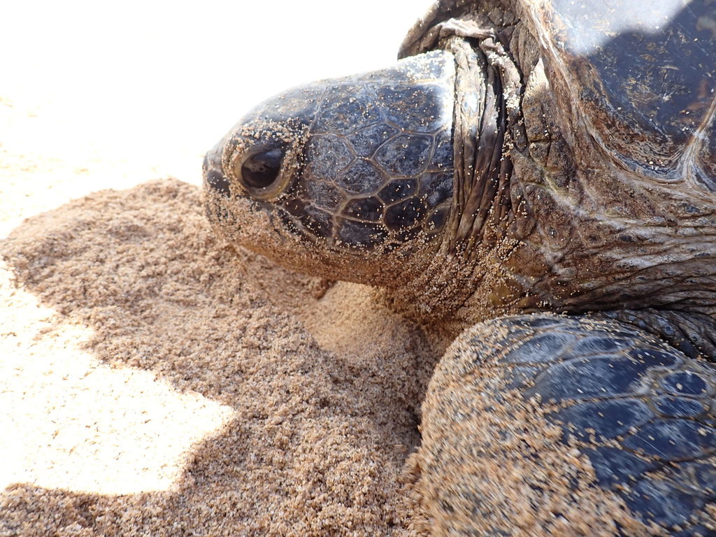 c33b386e-3dc1-451d-8c6a-f0e20ceb21d2