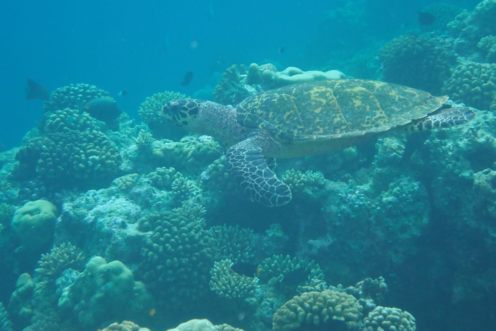 f361ff26-1e66-4c82-86e7-43d29ae699db