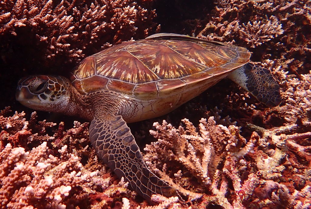 2f2ccabf-b721-4088-941b-0c098a8bef22