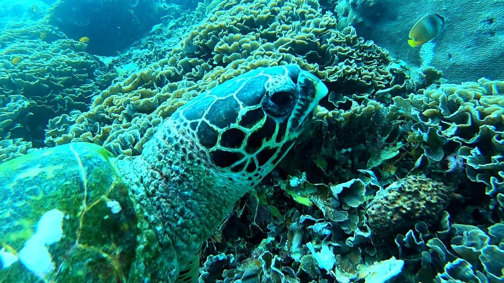 11ccb869-84b8-4279-bf0a-9b48d257e25a