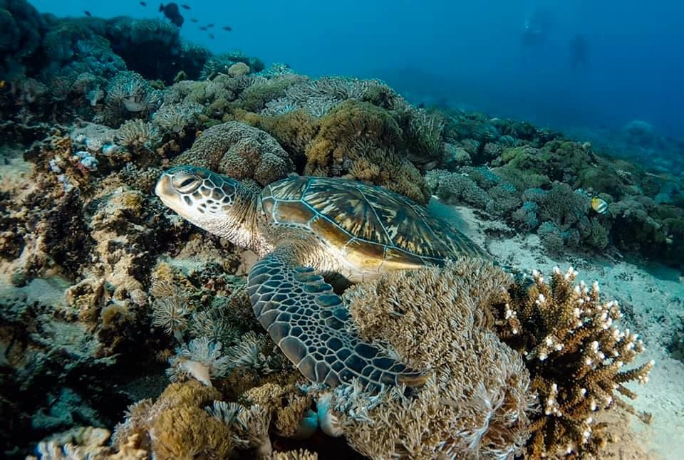 2f2ccabf-b721-4088-941b-0c098a8bef22