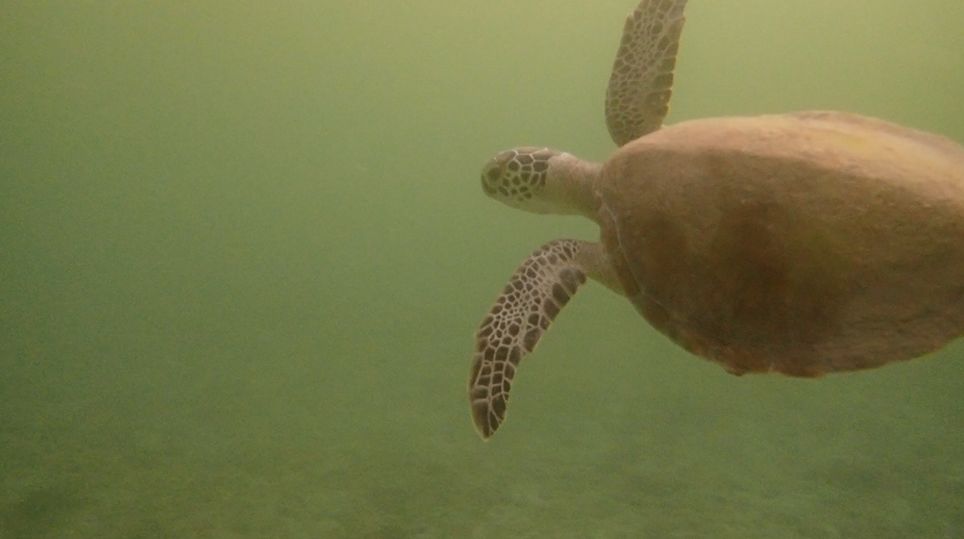 316a40d1-1962-4e73-a320-4cbc28fbe416