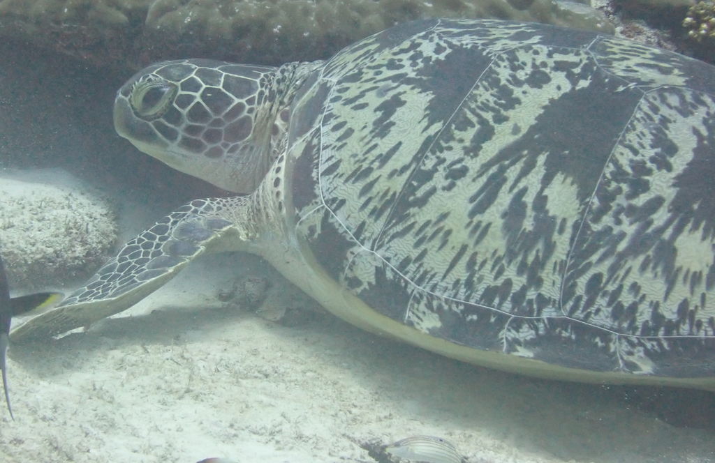 75742e25-b063-414c-b877-cd0b82383232