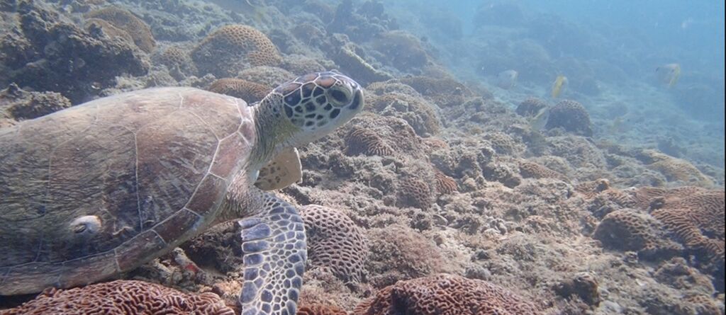 f2dfaff9-a54c-4a4a-b9b1-4428b5825d1e