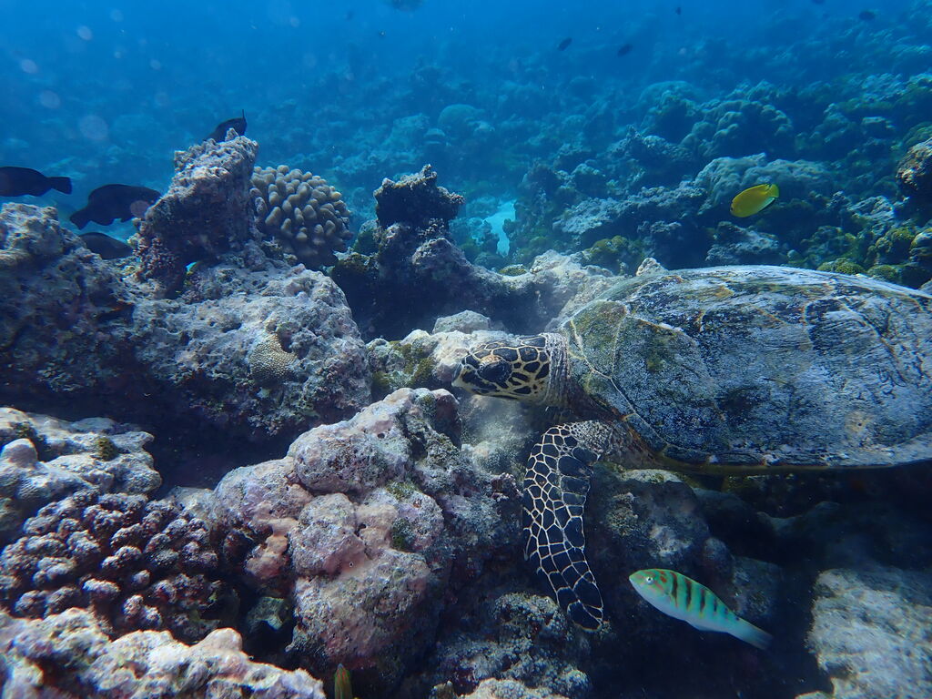 05761fed-f262-42b4-882c-02be754c9d0e