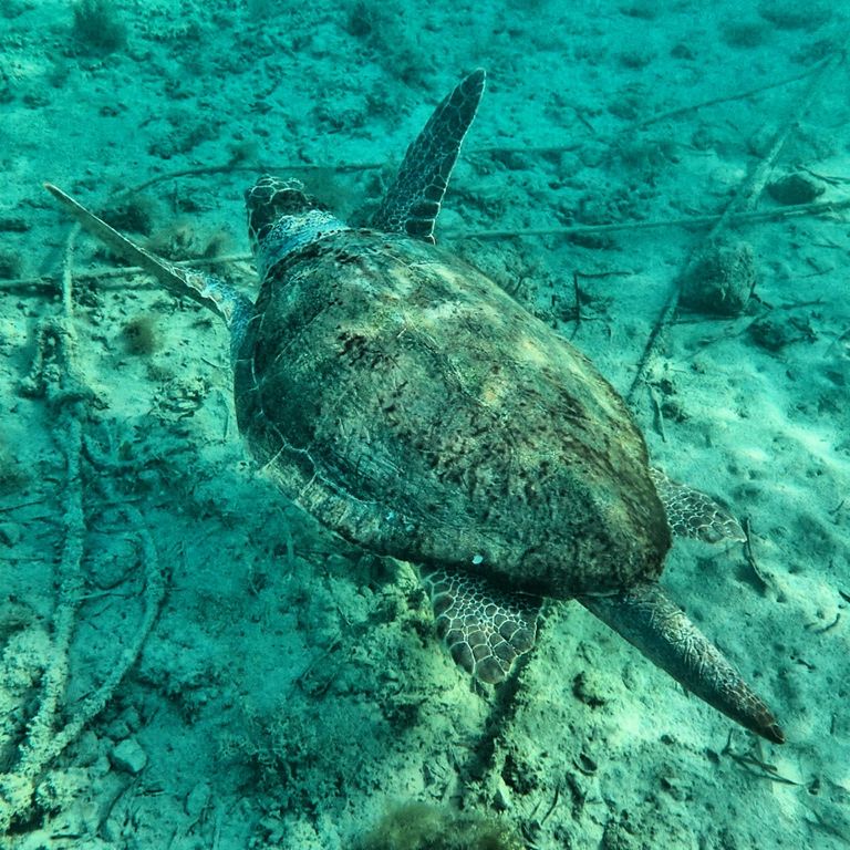 92989ccd-2d47-4720-a1bf-457ea8dbb3b9