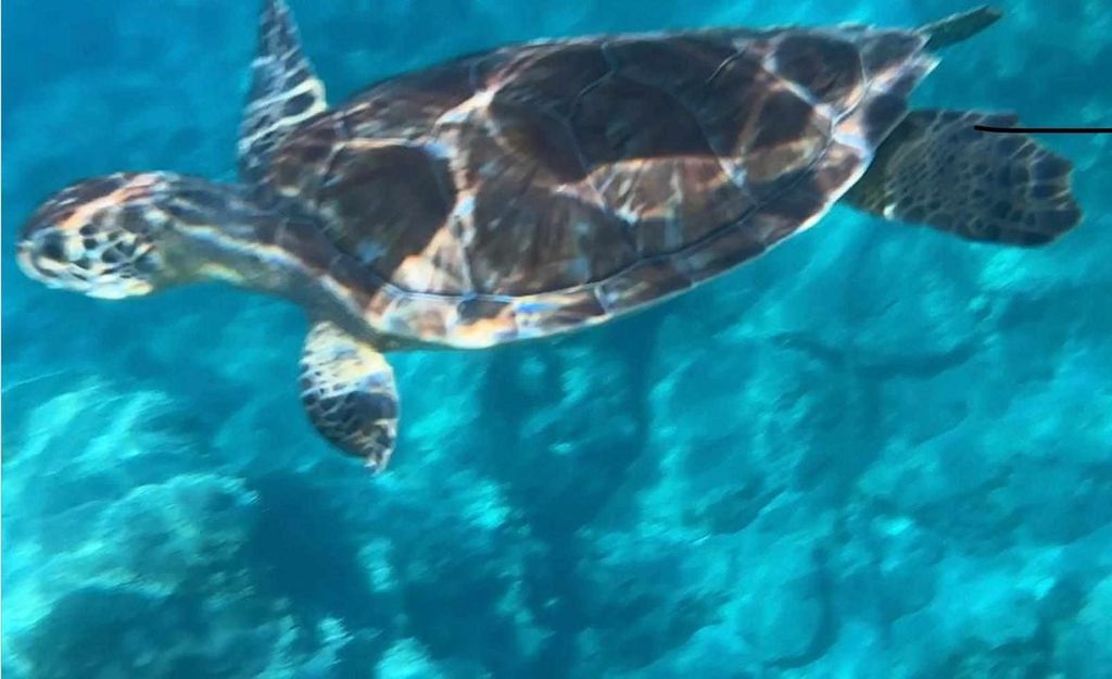 d85fece4-d46b-4453-8b33-600b6181a7a4