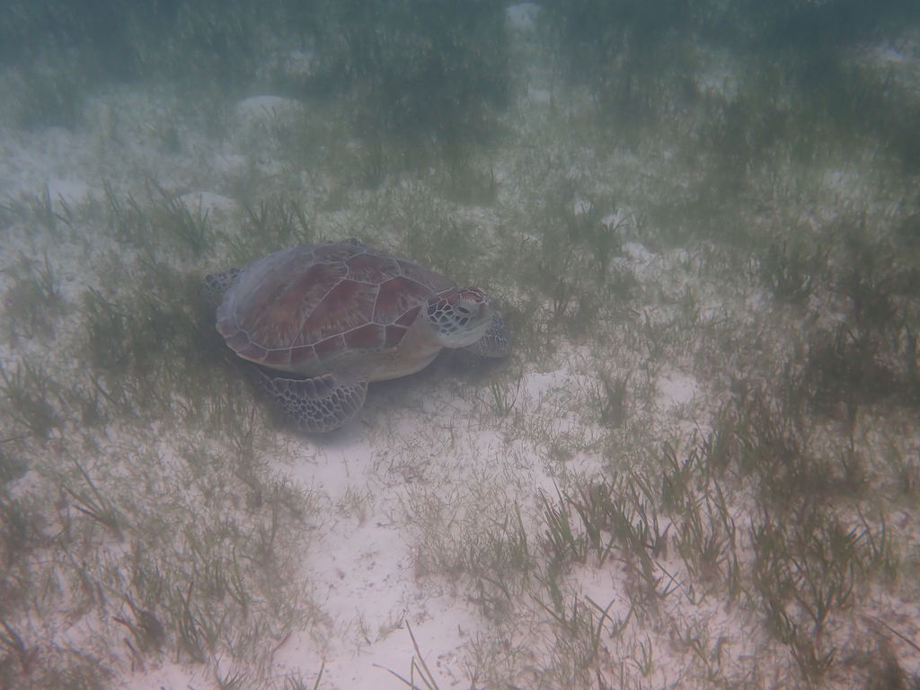 f9f601f2-85d8-46aa-bc1b-8829d998522e