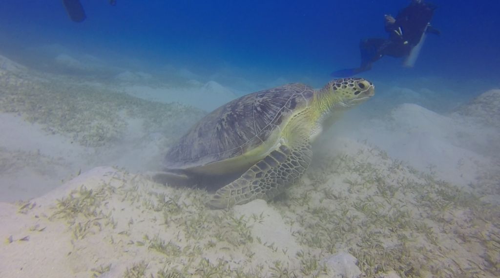 df069e05-eeba-431b-a589-c53bd3c372b6