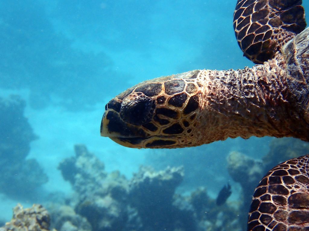 05761fed-f262-42b4-882c-02be754c9d0e