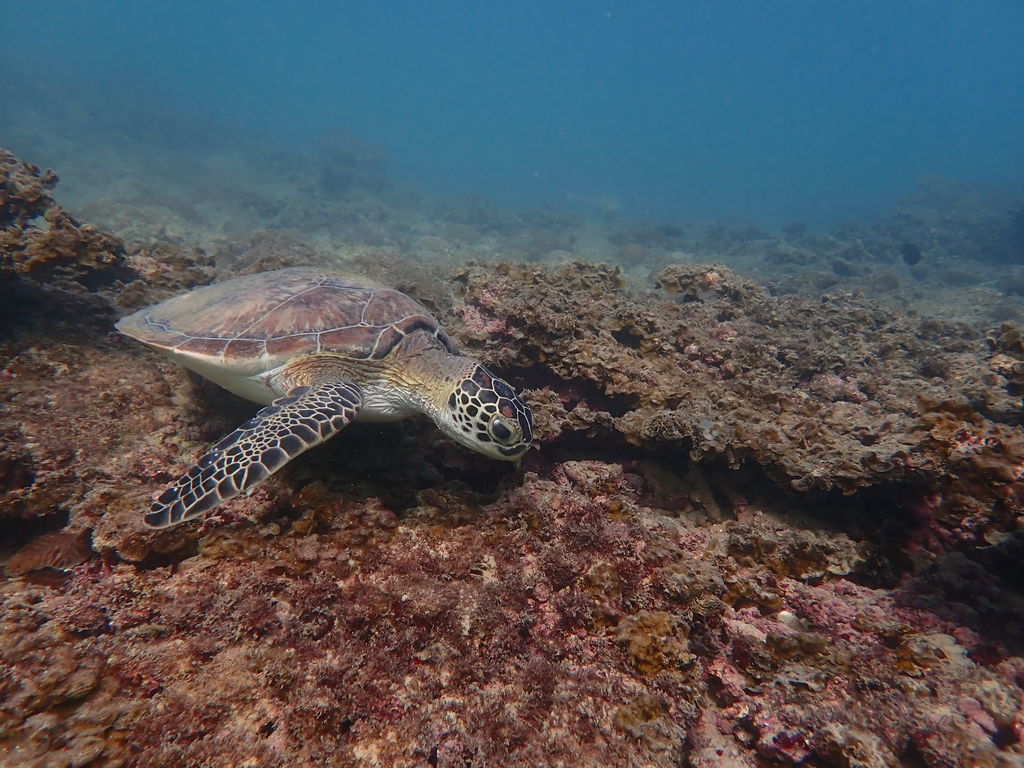 8499db2e-2b99-4094-844f-44f4c3f4e0f8