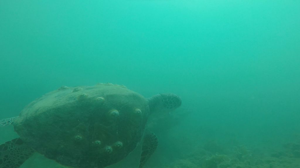 8706d23f-6b63-4192-8a6b-d9624c9e495d