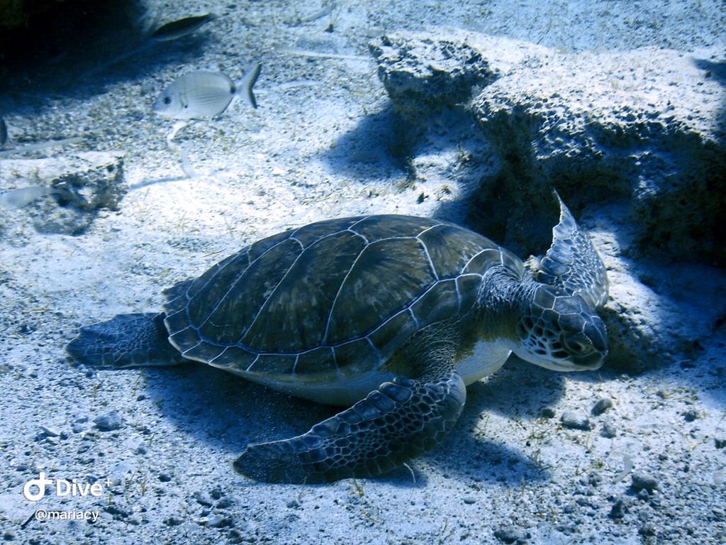 5ffb4a0b-aaa4-4a54-a649-0d95f64fd878