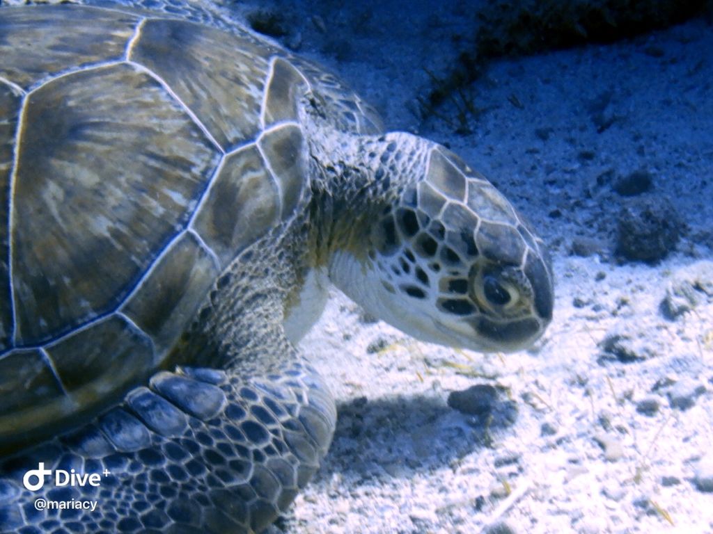 5ffb4a0b-aaa4-4a54-a649-0d95f64fd878