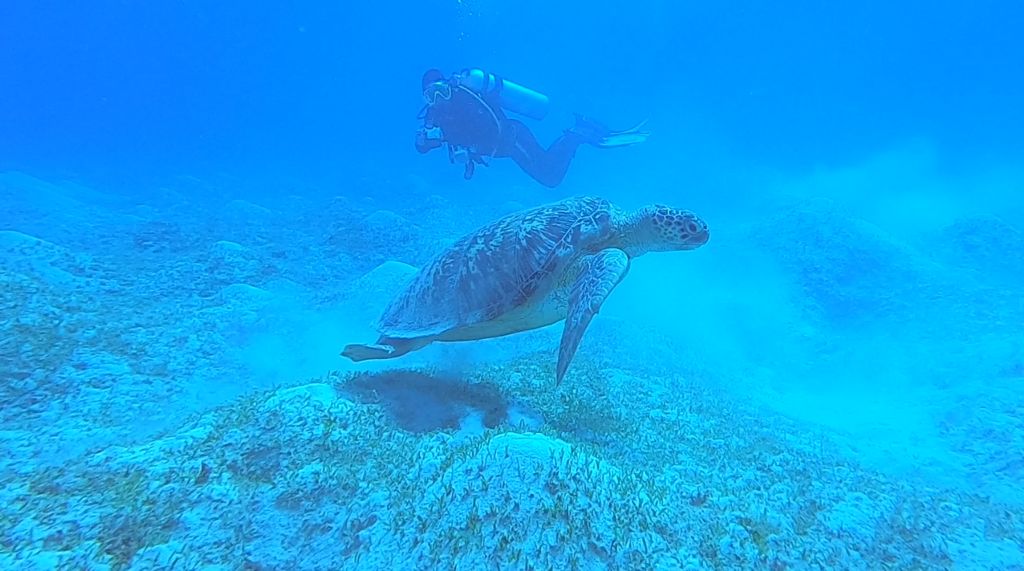 df069e05-eeba-431b-a589-c53bd3c372b6