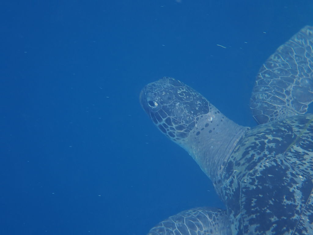 3cb84f18-fdaa-4b5e-b0a3-d73fdb41fda4