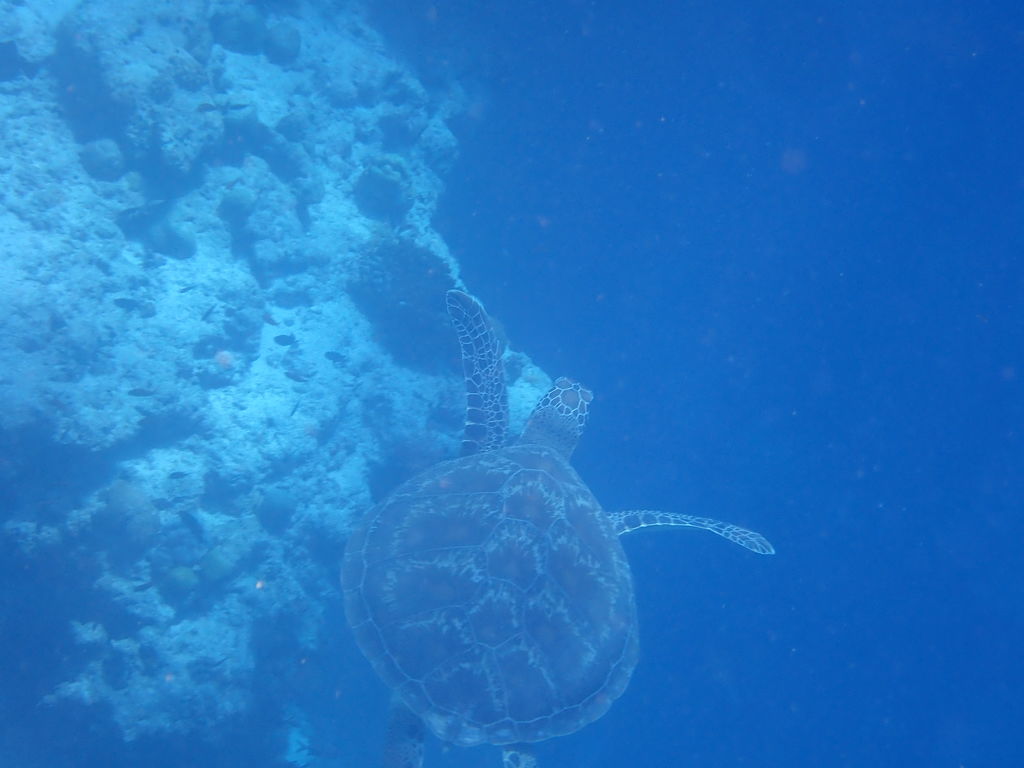 22bafdde-8da3-48e7-b48d-72ad3cdc7a61