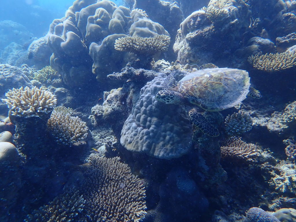 4ff065c4-f931-44f0-a56a-5ecccaa26fad