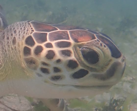 24e12598-eee9-4611-9ed8-4201bdd18114