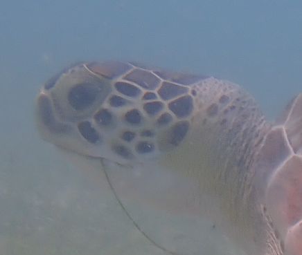 24e12598-eee9-4611-9ed8-4201bdd18114