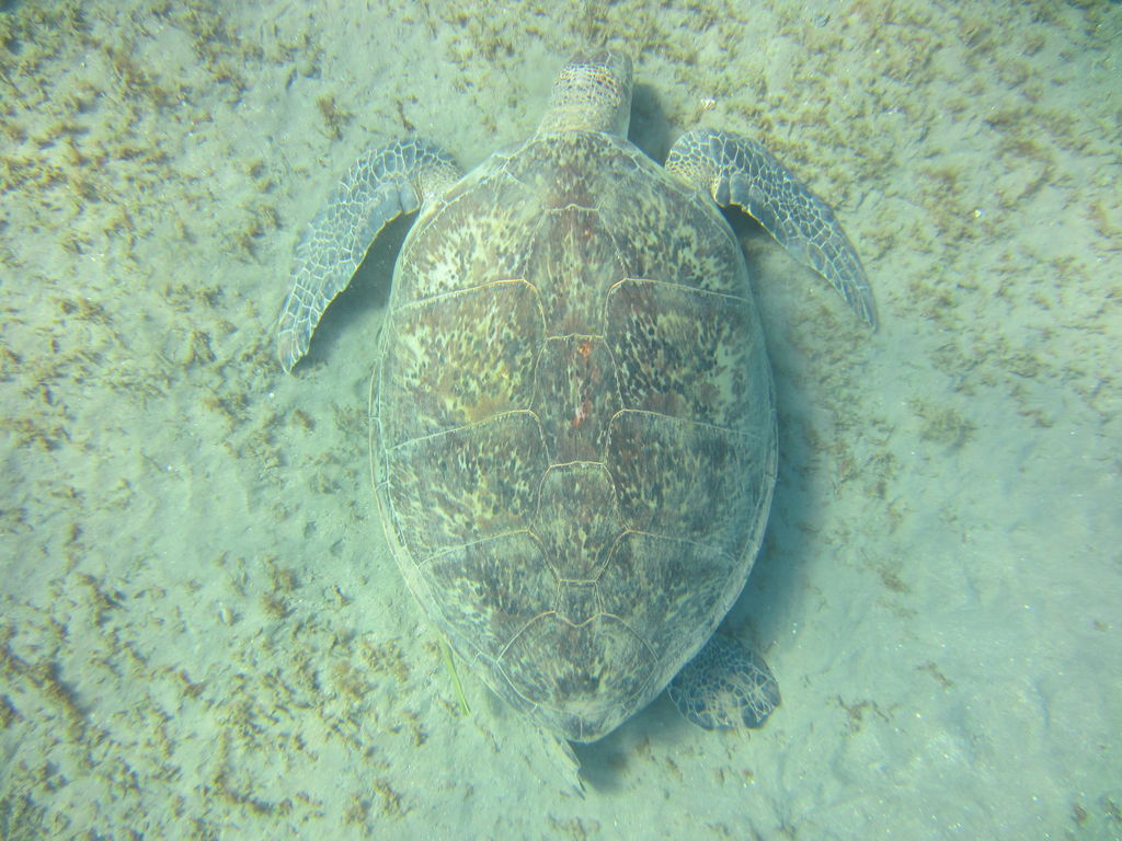 be467fe5-ea19-4c08-8c8a-5ef47dbc5df0