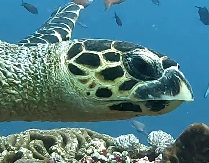 f8faac04-a14e-45d7-8a16-ef27af888381