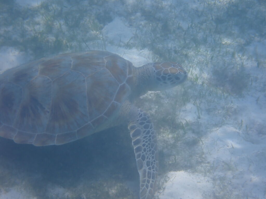 f45dcfc9-bcb2-4e34-a8d1-571e90452017