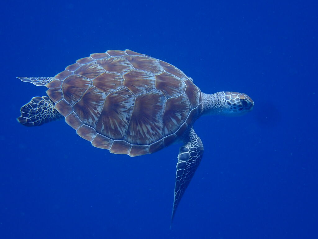 d7df8fc2-d063-41c4-8cd5-95bcedec604c