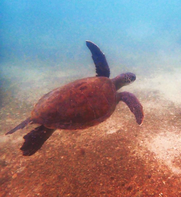 5b469e81-a947-4952-8aa7-5389a201bedf