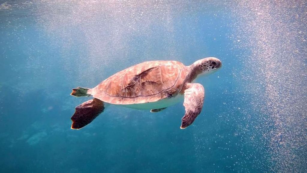 72b381a9-4f89-49c1-af09-7e4e43593eb0