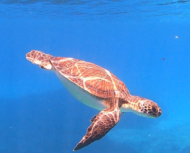 e02593d4-e2bb-44c3-971f-de0e29cba48b