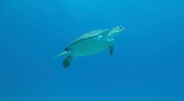 7959a278-be07-437c-8cce-85d540c2e441