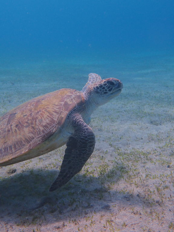 8e6a8951-1b69-4a84-b228-d98dd527cd28