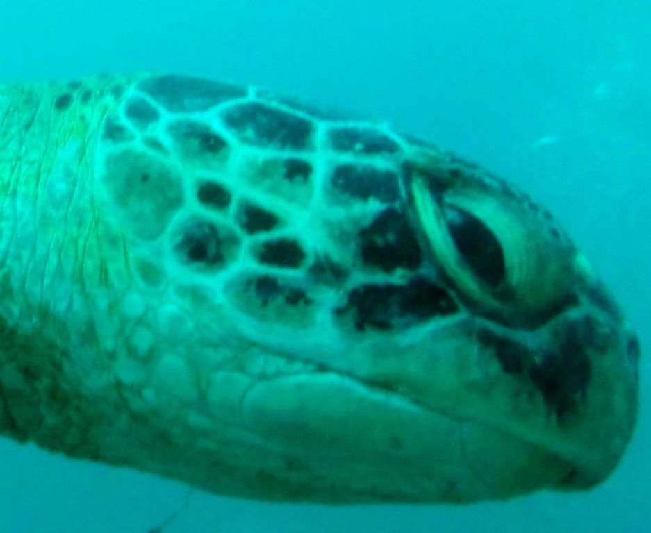 4382fbcc-affb-4f8e-b34f-ba82950f04a1